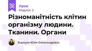 Різноманітність клітин організму людини. Тканини. Органи