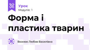 Форма і пластика тварин