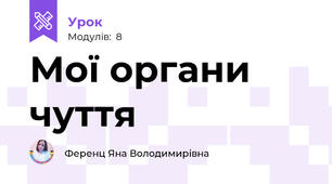 Мої органи чуття 