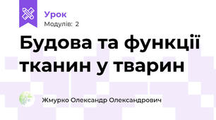 Будова та функції тканин у тварин
