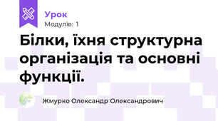 Білки, їхня структурна організація та основні функції.