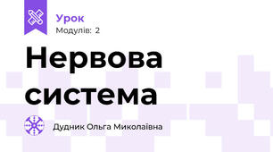 Нервова система