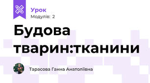 Будова тварин:тканини