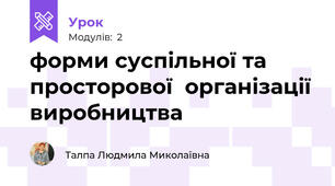 форми суспільної та просторової  організації виробництва
