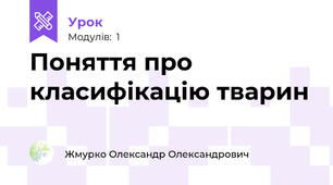 Поняття про класифікацію тварин