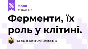 Ферменти, їх роль у клітині.