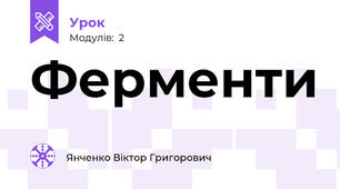 Ферменти