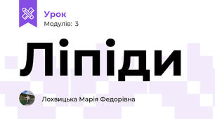 Ліпіди