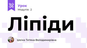 Ліпіди