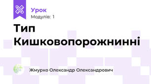 Тип Кишковопорожнинні