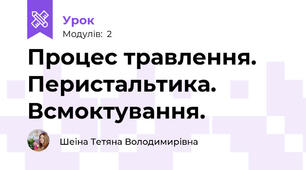 Процес травлення. Перистальтика. Всмоктування.