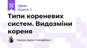 Типи кореневих систем. Видозміни кореня