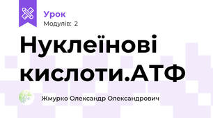 Нуклеїнові кислоти.АТФ