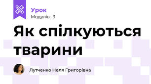 Як спілкуються тварини