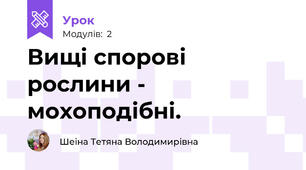 Вищі спорові рослини - мохоподібні.
