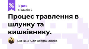 Процес травлення в шлунку та кишківнику.