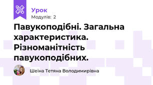 Павукоподібні. Загальна характеристика. Різноманітність павукоподібних.