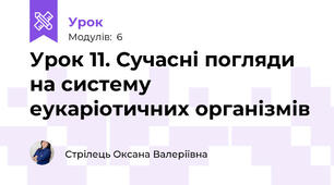 Урок 11. Сучасні погляди на систему еукаріотичних організмів