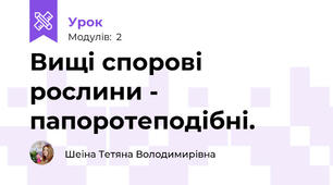 Вищі спорові рослини - папоротеподібні.