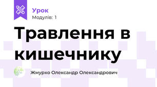 Травлення в кишечнику