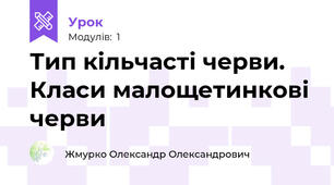 Тип кільчасті черви. Класи малощетинкові черви