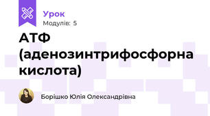 АТФ (аденозинтрифосфорна кислота)