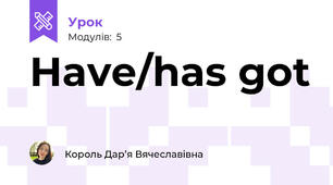 Have/has got