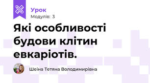 Які особливості будови клітин евкаріотів.