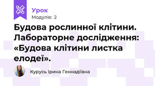Будова рослинної клітини. Лабораторне дослідження: «Будова клітини листка елодеї».