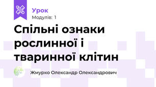 Спільні ознаки рослинної і тваринної клітин
