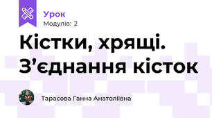 Кістки, хрящі. З’єднання кісток