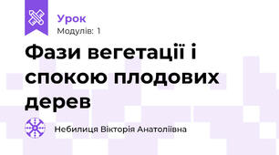 Фази вегетації і спокою плодових дерев