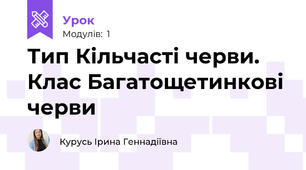 Тип Кільчасті черви. Клас Багатощетинкові черви