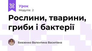Рослини, тварини, гриби і бактерії