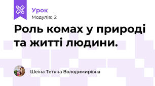 Роль комах у природі та житті людини.
