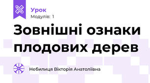 Зовнішні ознаки плодових дерев