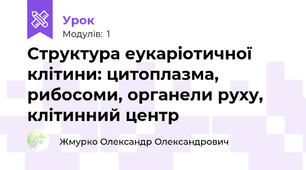 Структура еукаріотичної клітини: цитоплазма, рибосоми, органели руху, клітинний центр