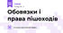 Обовязки і права пішоходів