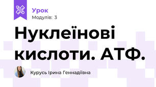 Нуклеїнові кислоти. АТФ.