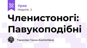 Членистоногі: Павукоподібні