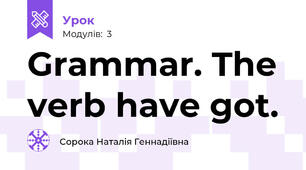Grammar. The verb have got.