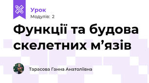 Функції та будова скелетних м’язів