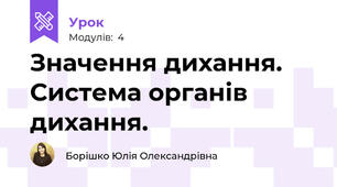 Значення дихання. Система органів дихання.