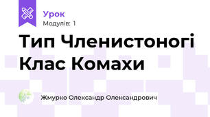 Тип Членистоногі Клас Комахи