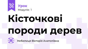 Кісточкові породи дерев