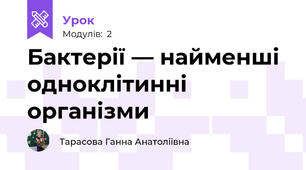 Бактерії — найменші одноклітинні організми