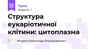 Структура еукаріотичної клітини: цитоплазма