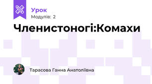Членистоногі:Комахи