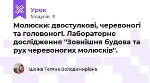 Молюски: двостулкові, черевоногі та головоногі. Лабораторне дослідження "Зовнішня будова та рух черевоногих молюсків".