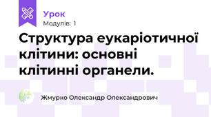 Структура еукаріотичної клітини: основні клітинні органели. 